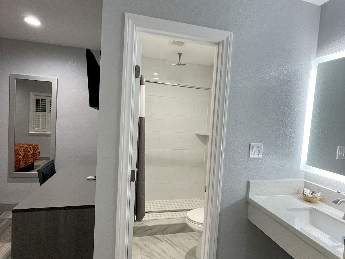 The image depicts a modern bathroom with a shower, a toilet, a sink, and a vanity mirror. The adjacent room seems to have a bed or sofa.